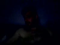 A little playful and shy, I wouldn