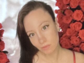 teaser web cam Annenay